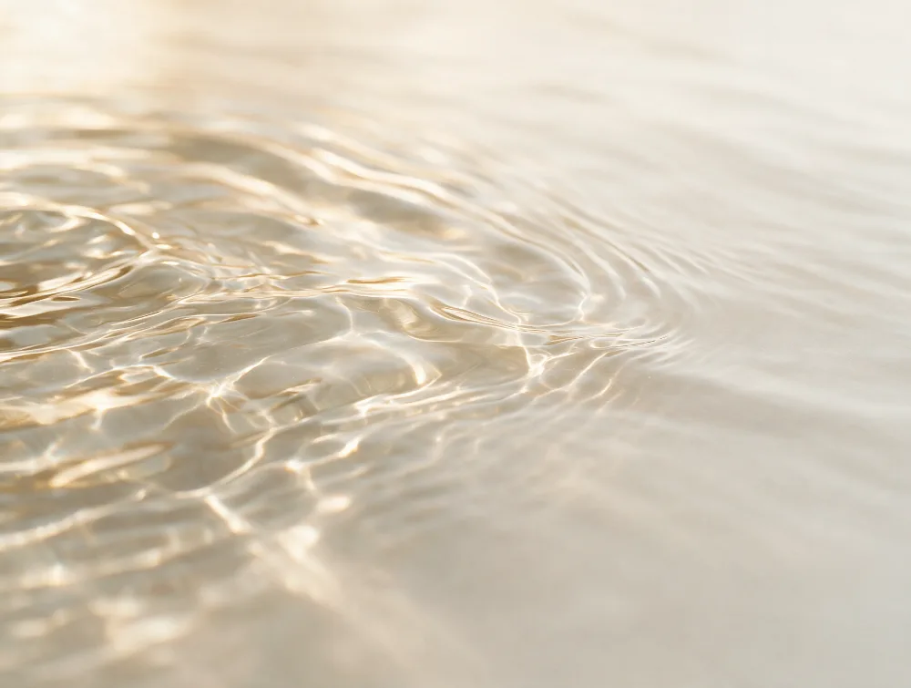 Sunlit ripples on calm water